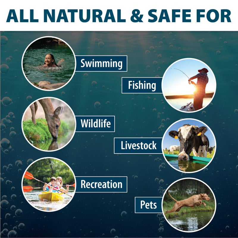 airmax حزم صبغة إيرماكس للبرك - صبغة سوداء دايموند للبرك الكبيرة والبحيرات، مركّز لون مفيد لحجب الأشعة فوق البنفسجية، للحفاظ على مياه نظيفة وصافية، آمن للأسماك والطيور والحيوانات، 2 حزمة قابلة للذوبان - Image 4